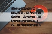 揭秘如何高效购买IP网站流量，助力你的网络营销，高效攻略，揭秘IP网站流量购买技巧，助力网络营销增长