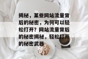 揭秘，某些网站流量背后的秘密，为何可以轻松打开？网站流量背后的秘密揭秘，轻松打开的秘密武器