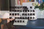 揭秘网站IP流量，如何判断网站流量多少及其重要性，网站流量揭秘，评估网站流量多少及其关键意义