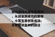 如何通过小菜生意赚钱，从创业到成功的策略，小菜生意创业成功，从策略到盈利的路径