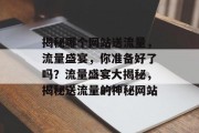 揭秘哪个网站送流量，流量盛宴，你准备好了吗？流量盛宴大揭秘，揭秘送流量的神秘网站