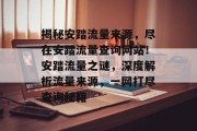 揭秘安踏流量来源，尽在安踏流量查询网站！安踏流量之谜，深度解析流量来源，一网打尽查询秘籍