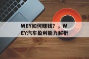 WEY如何赚钱？，WEY汽车盈利能力解析