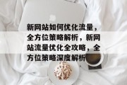 新网站如何优化流量，全方位策略解析，新网站流量优化全攻略，全方位策略深度解析