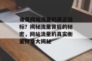 谁是网站流量的真正指标？揭秘流量背后的秘密，网站流量的真实衡量标准大揭秘