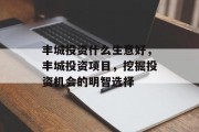 丰城投资什么生意好,丰城投资项目,挖掘投资机会的明智选择