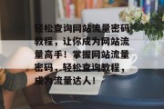 轻松查询网站流量密码教程，让你成为网站流量高手！掌握网站流量密码，轻松查询教程，成为流量达人！