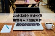 20余家科创板企业亮相世界人工智能大会