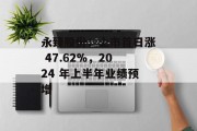 永臻股份：上市首日涨 47.62%，2024 年上半年业绩预增
