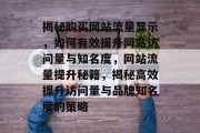 揭秘购买网站流量显示，如何有效提升网站访问量与知名度，网站流量提升秘籍，揭秘高效提升访问量与品牌知名度的策略