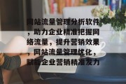 网站流量管理分析软件，助力企业精准把握网络流量，提升营销效果，网站流量管理优化，赋能企业营销精准发力
