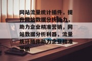 网站流量统计插件，提升网站数据分析能力，助力企业精准营销，网站数据分析利器，流量统计插件助力企业精准营销