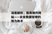深度解析，报表插件网站——企业数据管理的得力助手