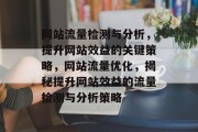网站流量检测与分析，提升网站效益的关键策略，网站流量优化，揭秘提升网站效益的流量检测与分析策略