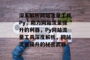 深入解析网站流量工具Py，助力网站流量提升的利器，Py网站流量工具深度解析，网站流量提升的秘密武器