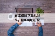 有家保险下跌5.33%，报0.8美元/股