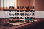 揭秘，什么网站来流量快？五大高效引流网站助力你的网络事业！高效引流秘籍，五大网站助你快速提升网络流量