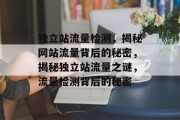 独立站流量检测，揭秘网站流量背后的秘密，揭秘独立站流量之谜，流量检测背后的秘密