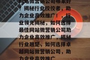 网站微营销公司哪家好？揭秘行业佼佼者，助力企业高效推广！，行业领先揭秘，如何选择最佳网站微营销公司助力企业高效推广，揭秘行业翘楚，如何选择卓越网站微营销公司，助力企业高效推广