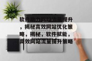 软件助力网站流量提升，揭秘高效网站优化策略，揭秘，软件赋能，高效网站流量提升策略