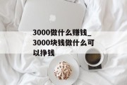 3000做什么赚钱_3000块钱做什么可以挣钱