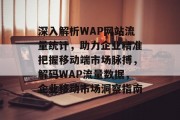 深入解析WAP网站流量统计，助力企业精准把握移动端市场脉搏，解码WAP流量数据，企业移动市场洞察指南