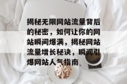 揭秘无限网站流量背后的秘密，如何让你的网站瞬间爆满，揭秘网站流量增长秘诀，瞬间引爆网站人气指南