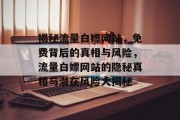 揭秘流量白嫖网站，免费背后的真相与风险，流量白嫖网站的隐秘真相与潜在风险大揭秘