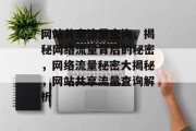 网站共享流量查询，揭秘网络流量背后的秘密，网络流量秘密大揭秘，网站共享流量查询解析
