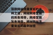 获取网站流量背后的牟利之道，揭秘网络营销的灰色地带，网络营销灰色地带，揭秘网站流量背后的盈利秘密