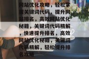 网站优化攻略，轻松掌握关键词代码，提升网站排名，高效网站优化秘籍，关键词代码精解，快速提升排名，高效网站优化秘籍，关键词代码精解，轻松提升排名攻略