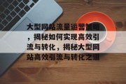 大型网站流量运营策略，揭秘如何实现高效引流与转化，揭秘大型网站高效引流与转化之道
