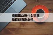 编程副业做什么赚钱_编程能当副业吗