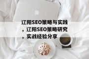 辽阳SEO策略与实践，辽阳SEO策略研究，实战经验分享