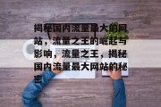 揭秘国内流量最大的网站，流量之王的崛起与影响，流量之王，揭秘国内流量最大网站的秘密