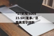 *ST世茂(600823.SH)董事、总裁吴凌华辞职