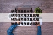 移动流量看网站，揭秘移动端网站优化策略，移动端网站优化攻略，流量提升秘籍大揭秘