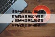 流量外国网站，揭秘其背后的商业秘密与挑战，揭秘外国网站流量背后的商业奥秘与挑战