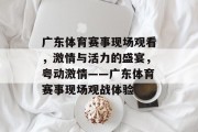 广东体育赛事现场观看，激情与活力的盛宴，粤动激情——广东体育赛事现场观战体验