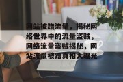 网站被蹭流量，揭秘网络世界中的流量盗贼，网络流量盗贼揭秘，网站流量被蹭真相大曝光