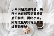 小米网站流量排名，揭秘小米在线营销策略背后的秘密，揭秘小米，网站流量攀升背后的在线营销奥秘
