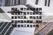 揭秘，哪个网站能查网站流量？全方位解析流量查询工具，网站流量查询利器大揭秘，揭秘流量查询工具全攻略