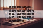 语音搜索网站的崛起，流量增长背后的机遇与挑战，语音搜索网站的兴起，流量激增下的机遇与挑战解析
