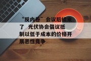 “反内卷”会议后续来了  光伏协会倡议抵制以低于成本的价格开展恶性竞争