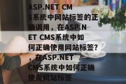 ASP.NET CMS系统中网站标签的正确调用，在ASP.NET CMS系统中如何正确使用网站标签？，在ASP.NET CMS系统中如何正确使用网站标签