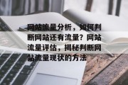 网站流量分析，如何判断网站还有流量？网站流量评估，揭秘判断网站流量现状的方法