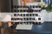深度解析网站流量明细，关注数据背后的秘密，助力企业精准营销，揭秘网站流量密码，数据洞察助力企业精准营销
