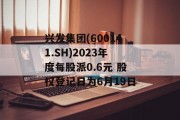 兴发集团(600141.SH)2023年度每股派0.6元 股权登记日为6月19日