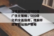 深度解析网站SEO推广优化策略，SEO优化的全面指南，理解并应用网站推广策略
