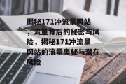 揭秘171冲流量网站，流量背后的秘密与风险，揭秘171冲流量网站的流量奥秘与潜在风险